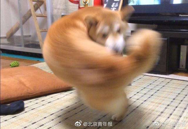 双福一条街150 _ 卫浴图片,双福街在什么位置