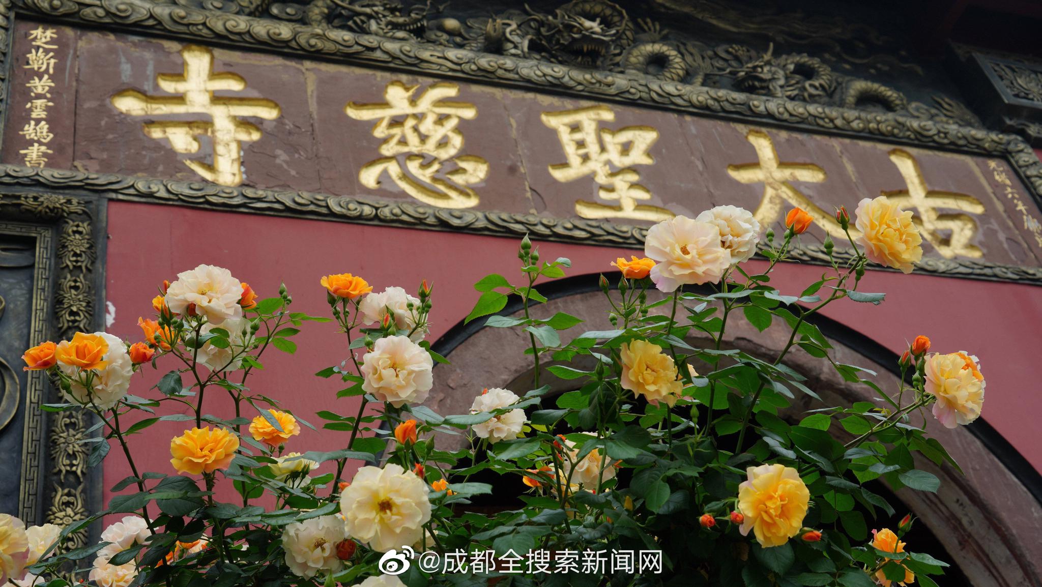 700块拿下保洁阿姨 _ 彩页模板,保洁阿姨打扫卫生怎么收费