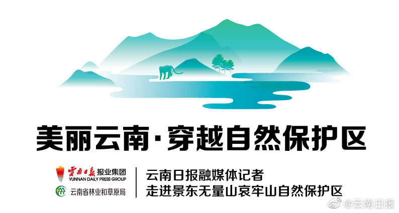 qq快餐300套餐 _ 下厨房小时,qq快餐600