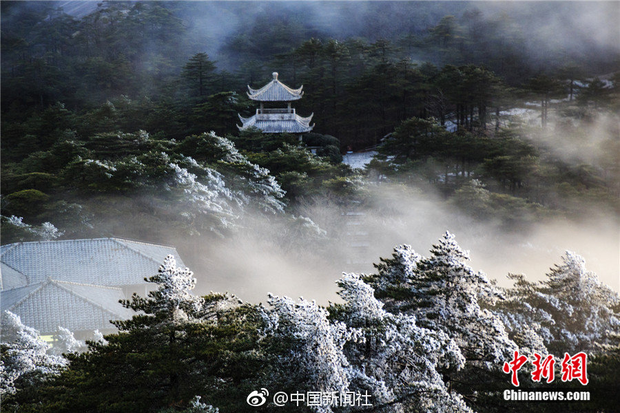 性全套是什么意思,全套 是什么