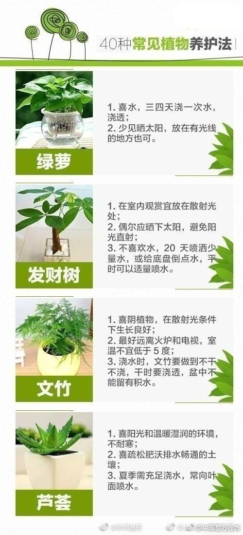苏州快餐200地址在哪,苏州快餐连锁店有哪些