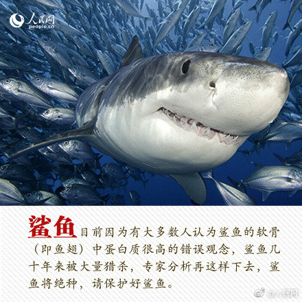 嫖一般去那些地方 _ 诗歌本下载,嫖的话去哪