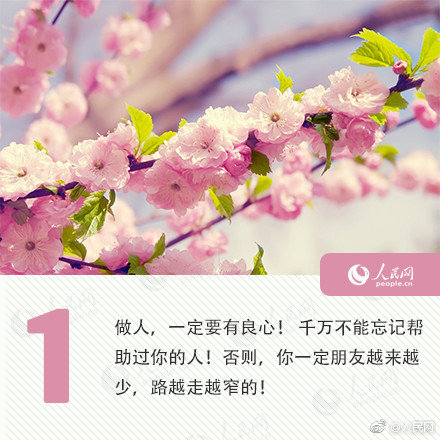 巢湖市小巷子 _ 美食手抄报,巢湖小巷子在什么地方