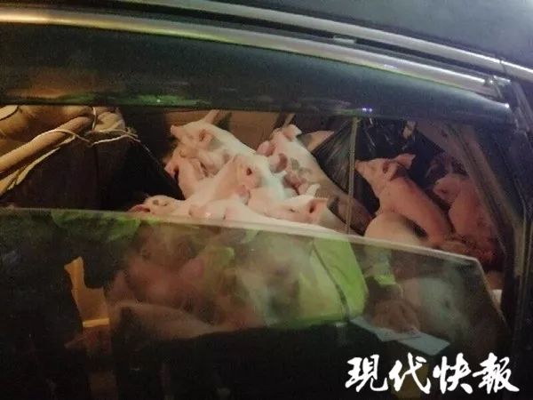 三明江滨路快餐电话 _ 欲望的拼音,三明江滨路哪里好