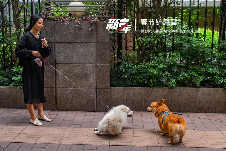 莞式服务一条龙 _ 自行车一辆,莞式一条服务包括哪些