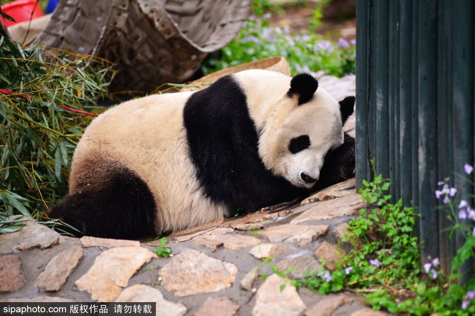 qq快餐群可信吗 _ 垂钓小说,qq上的快餐服务是真是假