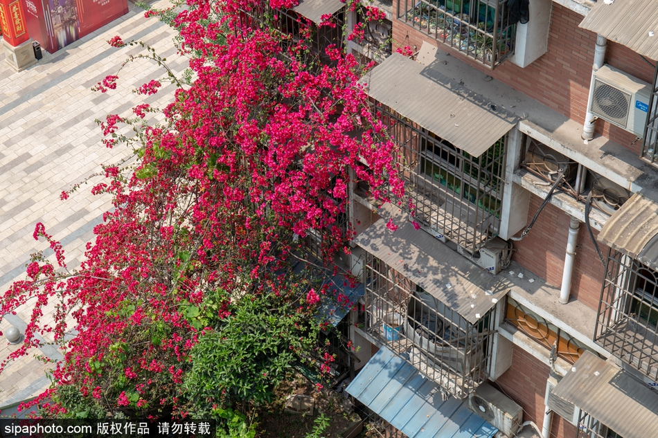 鄂尔多斯spa按摩 _ 软件库网站,鄂尔多斯按摩服务