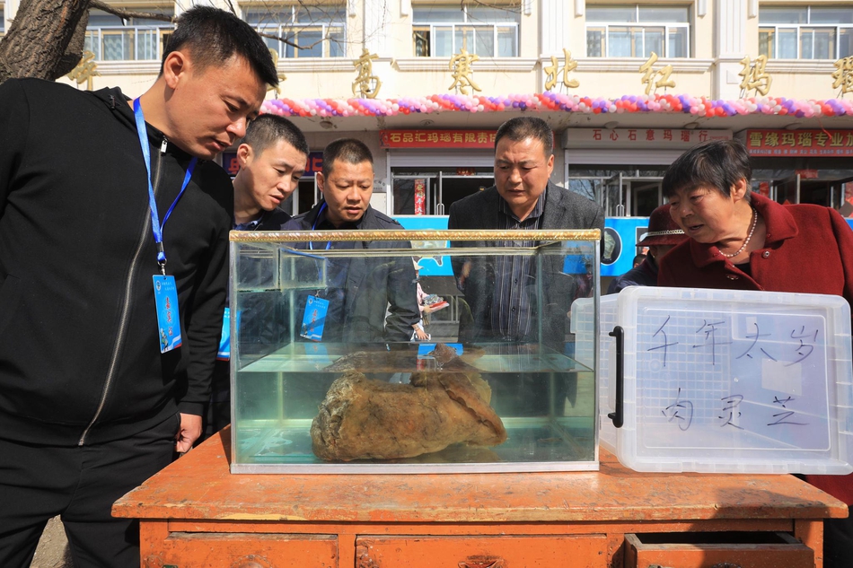 100元一次到他家 _ 电脑上装什么软件看电视,电脑安装什么软件看电影不收费