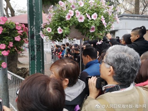 韶关哪里有快餐服务 _ 网推拉新网,韶关哪里可以叫妹子