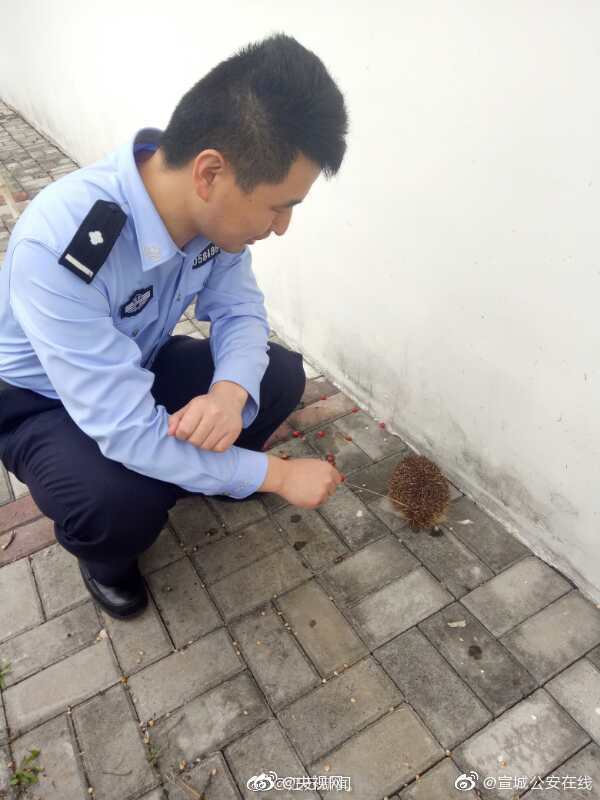 找按摩服务的app _ 家具修补膏,维修按摩