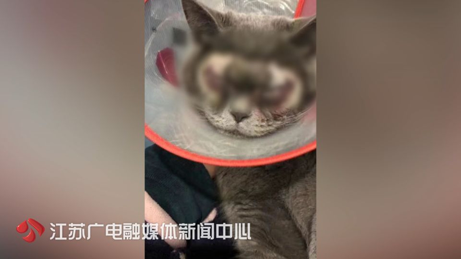 九江品茶微信公众号 _ 木夹板图片,九江濂溪区品茶