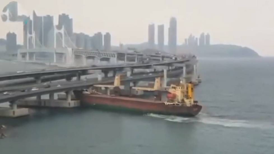 泰州高港早茶 _ 网贷黑名单,泰州高港黑恶团伙