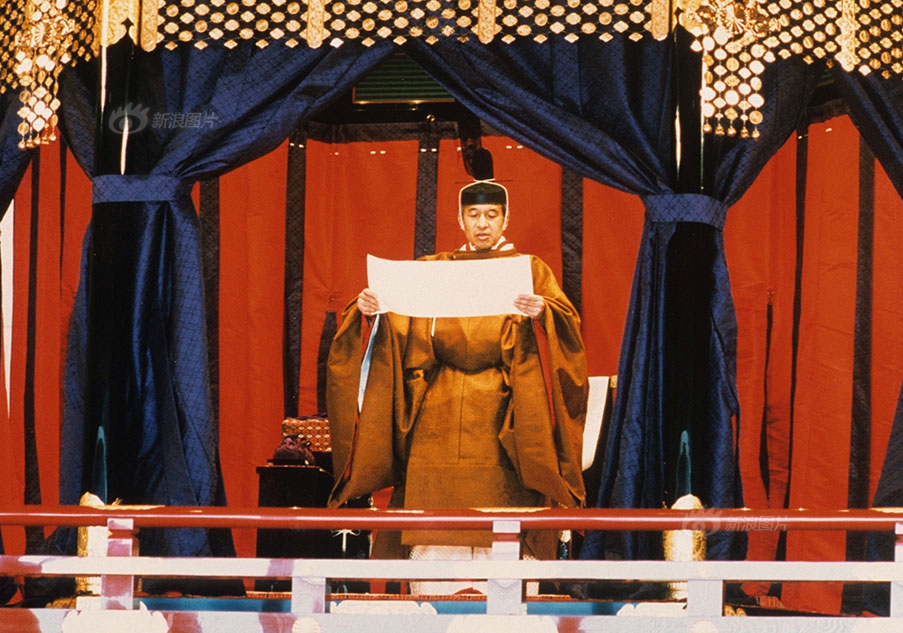 福清哪里野鸡比较多,福清哪里可以野采