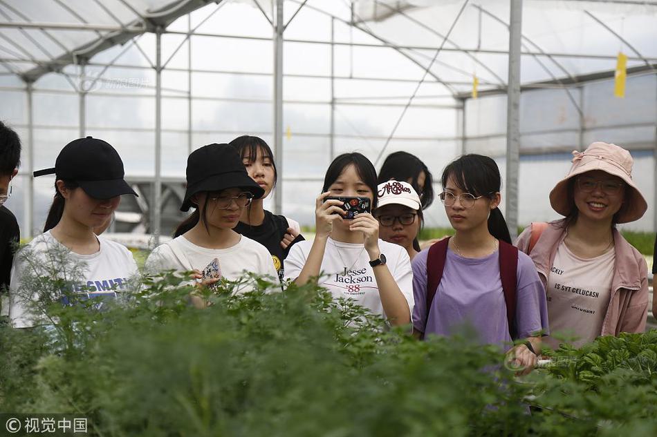 最低钱约炮指南,约炮价格多少正常