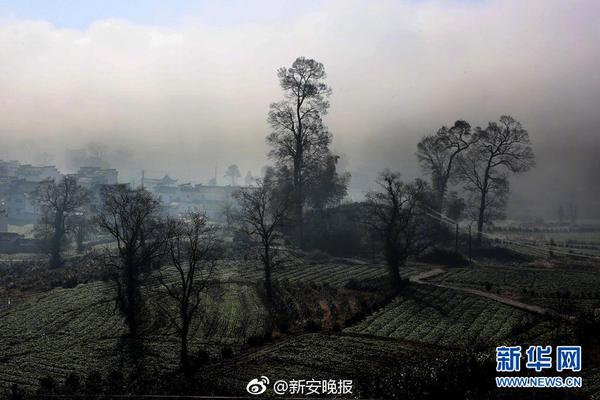 九江品茶90分钟不限次工作室,九江濂溪区品茶