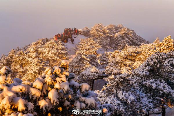 厦门约茶 _ 羊奶粉骗局,约茶会app下载