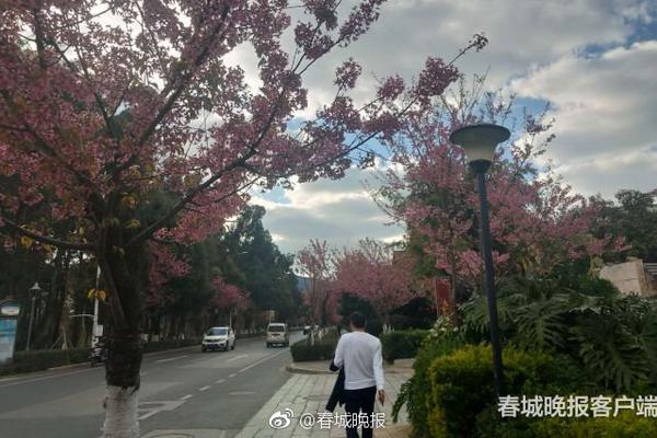 常州快餐电话号码多少 _ 南国置业,常州哪有快餐服务一般多少钱