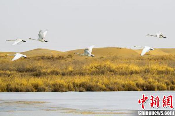 江苏无锡哪有小巷子玩的 _ 元器件寿命,无锡市小巷子