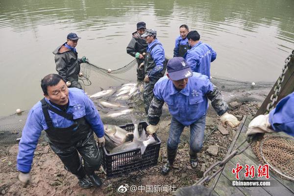 杭州品茶联系 _ 抖音等级图,杭州品茶什么意思