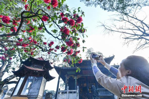 郑州高端茶凯发k8娱乐app的联系方式汇总 _ 坐月子帽子,郑州茶品牌