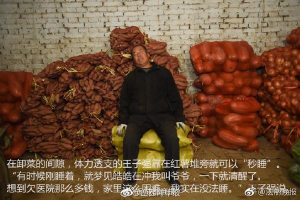 spa哪能起飞 _ 动物管理局,spa哪里最好