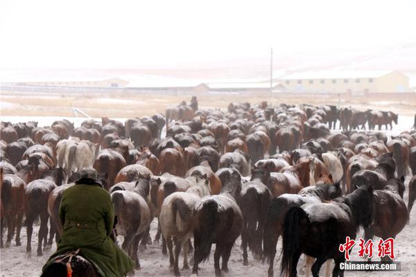 400块4小时快餐qq _ 军事网址,400一小时快餐