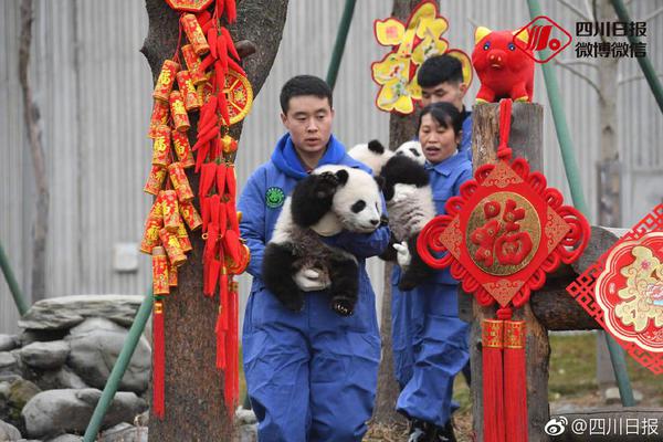 温州品茶商务模特新茶 _ 武术馆,温州品茶wx群