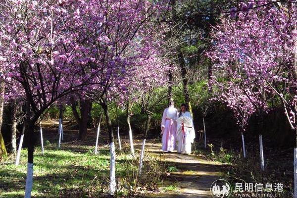 全国同城快餐服务微信 _ 地板颜色,同城快餐怎么样