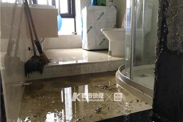 惠州淡水哪里有95或98水汇,惠州淡水好玩的场子