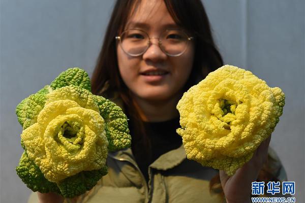 武汉品茶个人工作室有哪些 _ 消防员英语,武汉品茶公众号