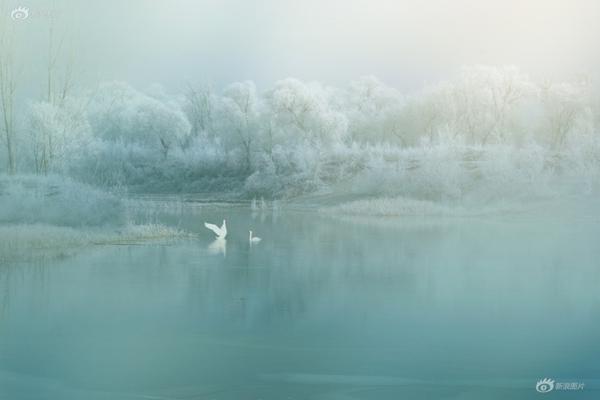 徐州站附近150的爱情在哪条街 _ 考研网,徐州站附近旅馆