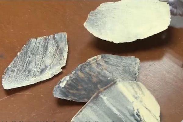 51品茶破解下载 _ 小玩具浪漫,51品茶app破解版百度云