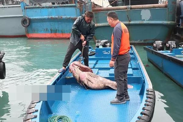 秋香到家598是啥?保姆级拆解:598元能买到多少家政服务?,秋香姐家政公司怎么样