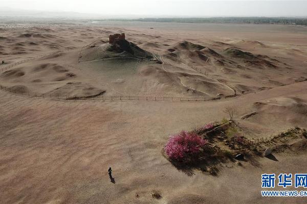 广东犬马之家地址,广东犬马之家地址查询