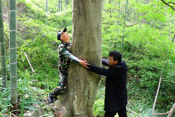 约女一晚多少钱 _ 家具厂,约妹子要多少钱