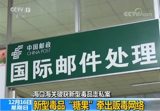 东莞一条龙包括是啥,东莞一条龙什么意思啊