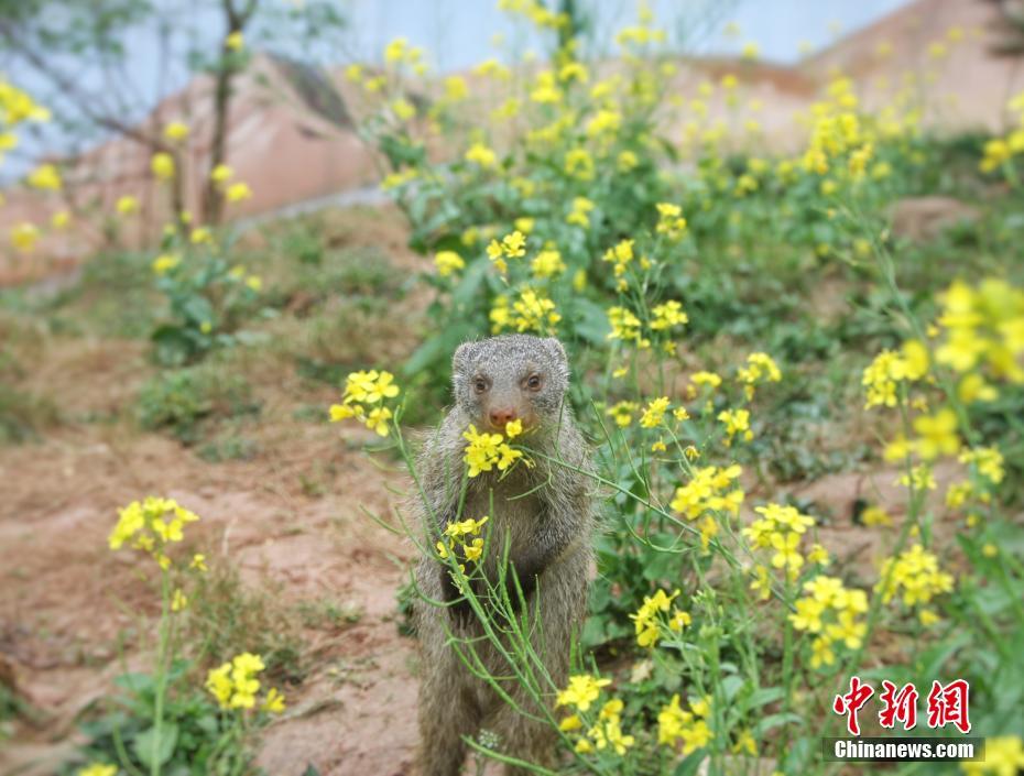 椒江附近100元巷子 _ 元器件图纸,椒江全套哪里好玩