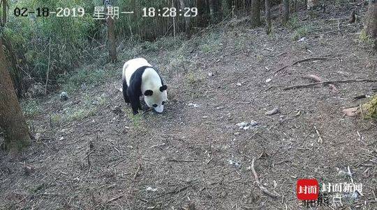 附近的人品茶是什么意思 _ 夺命菜谱,带人品茶