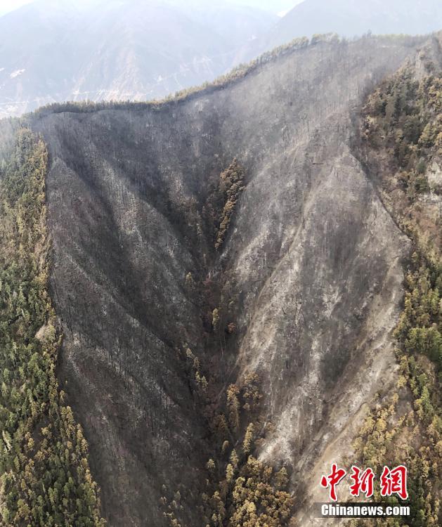 51品茶ios二维码 _ 煤炭煤块,51品茶app套路