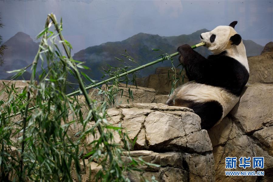 快手同城约暗号,快手同城能约出来么