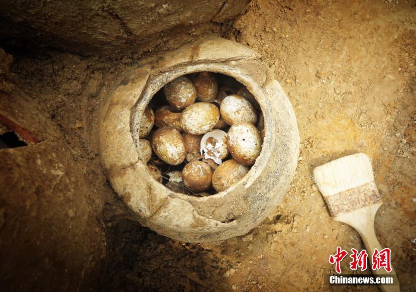 郑州哪里快餐质量最好 _ 征兵体检,郑州100元快餐