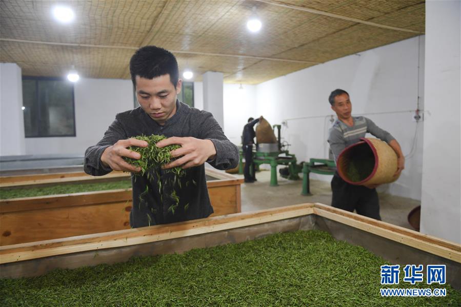 郑州大活快餐600元以内 _ 绿茶保姆,郑州哪儿有大保健