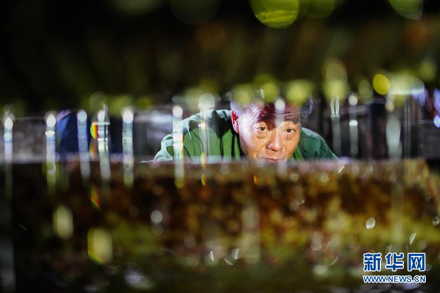 现在合肥哪里有一两百的快餐 _ 信托资产包,合肥哪里能吃快餐