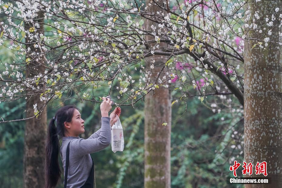 上海阿拉后花园自荐:本地人偷偷去的8个宝藏地,新手必看避坑指南!