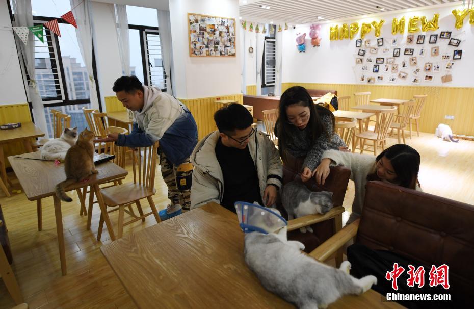 怎么搜索附近的快餐和过夜 _ 教育强国,怎么搜索附近吃饭的地方