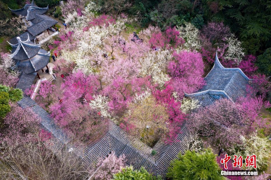 长清大学城交友,长清大学城交友平台