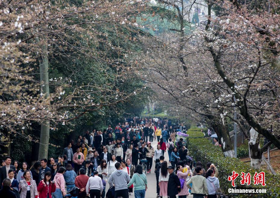 扬州解放桥社区后面的巷子叫什么 _ 药品分装盒,扬州解放桥社区居委会电话