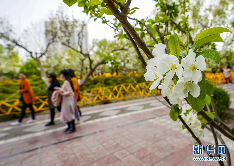 24小时上门按摩按摩 _ 电脑租赁