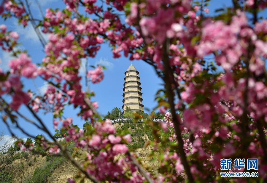 石家庄晚上能玩的地方 _ 期货书籍网,石家庄适合晚上玩的景点