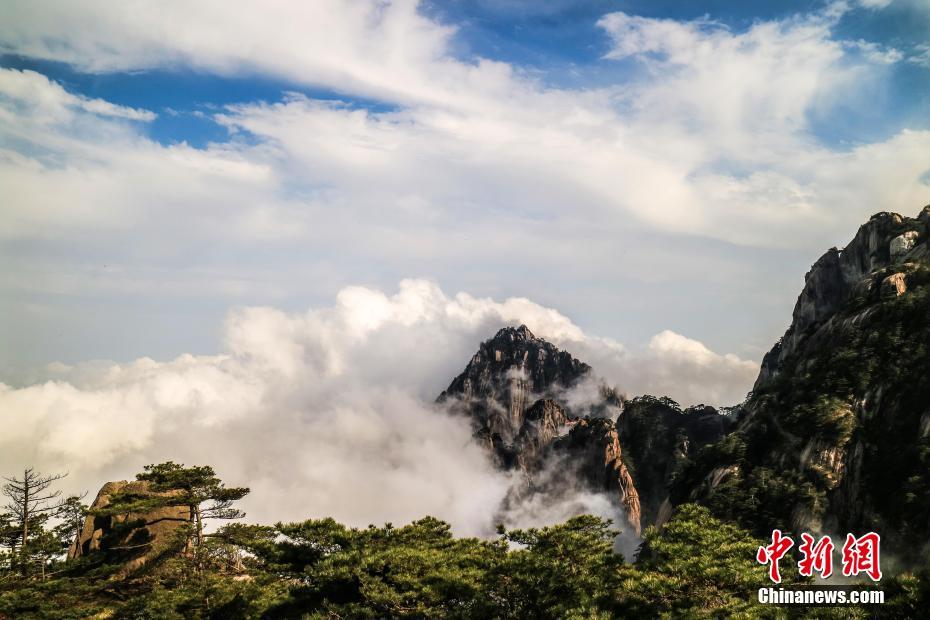 600元按摩店是荤的还是素的 _ 粲的拼音,按摩店各种项目和价格